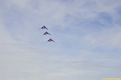 Venice kite festival_0554